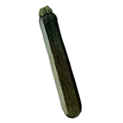 Calabacin-01.gif