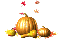 Calabaza-02.gif