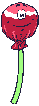 Caramelo-02.gif
