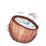 Coco-05.gif