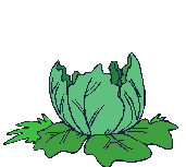 Col-03.gif