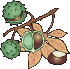 Fruta-09.gif