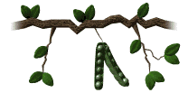 Guisantes-07.gif