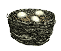 Huevo-19.gif