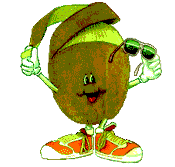 Kiwi-03.gif
