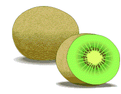 Kiwi-04.gif