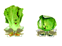 Lechuga-01.gif
