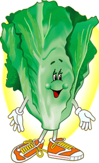 Lechuga-02.gif