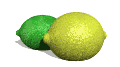 Lima-01.gif