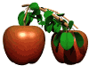 Manzana-55.gif