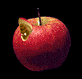 Manzana-67.gif
