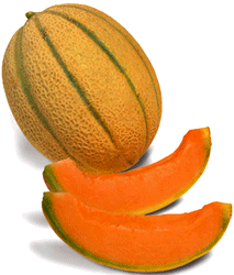 Melon-03.gif