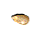 Palomitas-de-maiz-10.gif