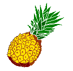 Pina-02.gif