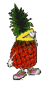 Pina-03.gif