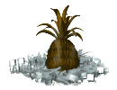 Pina-04.gif