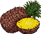 Pina-07.gif