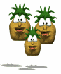 Pina-08.gif