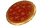 Pizza-37.gif