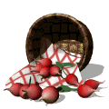Rabano-02.gif