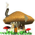 Seta-09.gif