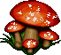 Seta-11.gif