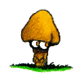 Seta-16.gif
