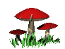 Seta-18.gif