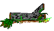 Seta-19.gif