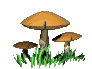 Seta-20.gif