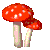 Seta-21.gif