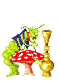 Seta-24.gif