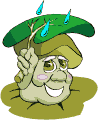 Seta-26.gif