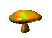 Seta-30.gif