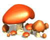 Seta-31.gif