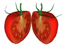 Tomate-23.gif