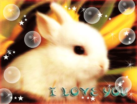 Gif-animado-Animal-enamorado-161.gif