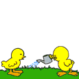 Gif-animado-Animal-enamorado-85.gif