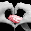 Corazon-106.gif