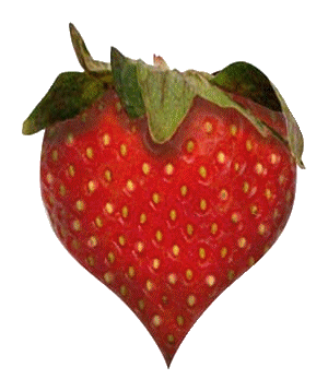Gif-animado-Corazon-428.gif