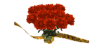 Gif-animado-Flor-04.gif