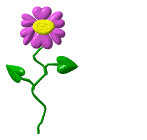 Gif-animado-Flor-05.gif