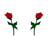 Gif-animado-Flor-07.gif