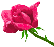 Gif-animado-Flor-15.gif