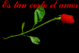 Gif-animado-Flor-16.gif
