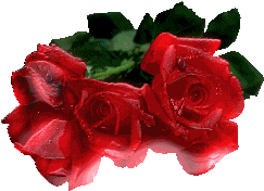 Gif-animado-Flor-18.gif