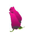 Gif-animado-Flor-21.gif