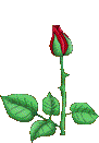 Gif-animado-Flor-23.gif