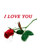 Gif-animado-Flor-27.gif