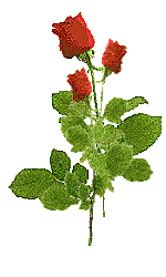 Gif-animado-Flor-32.gif